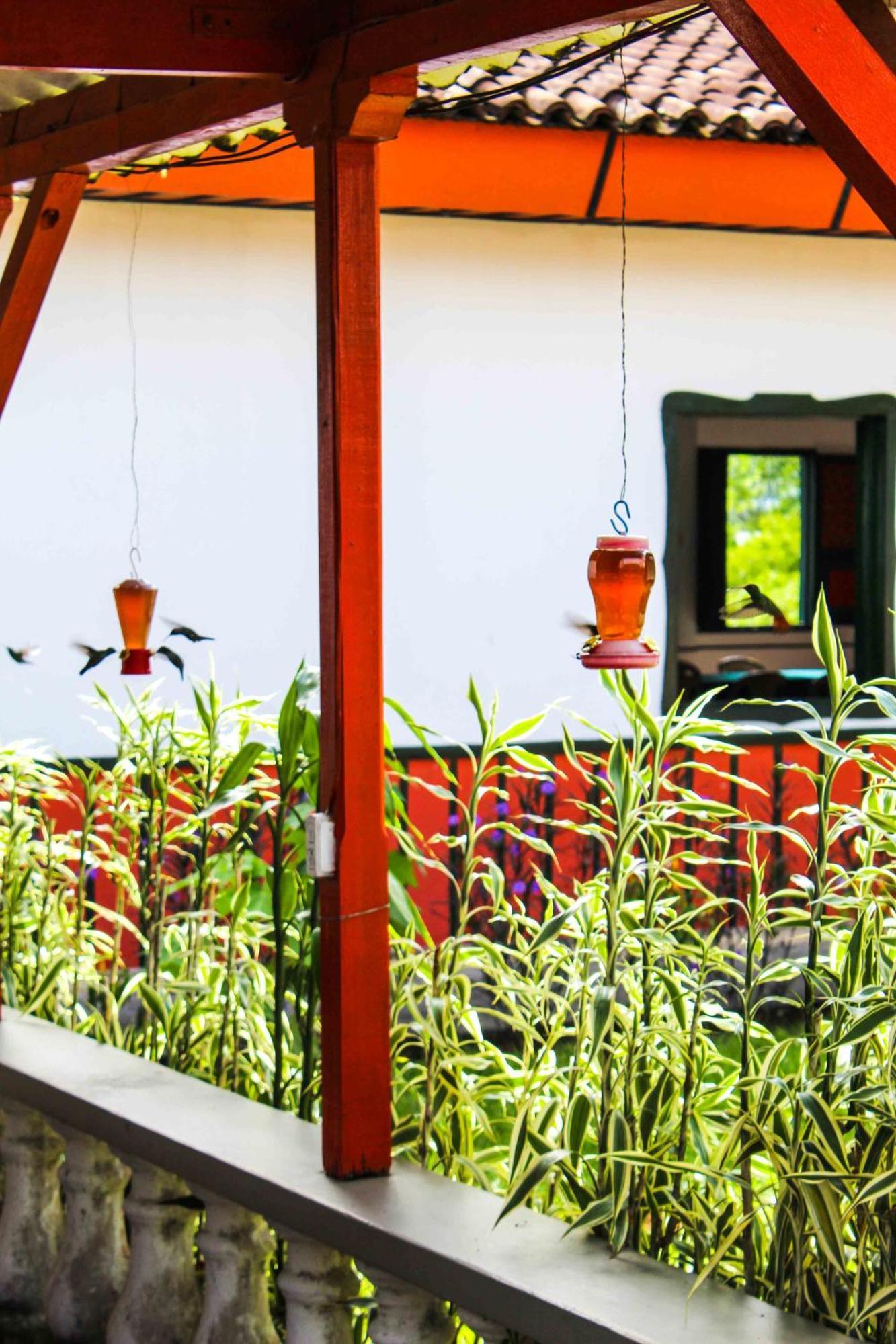 Hotel Campestre La Floresta Puerto Espejo エクステリア 写真