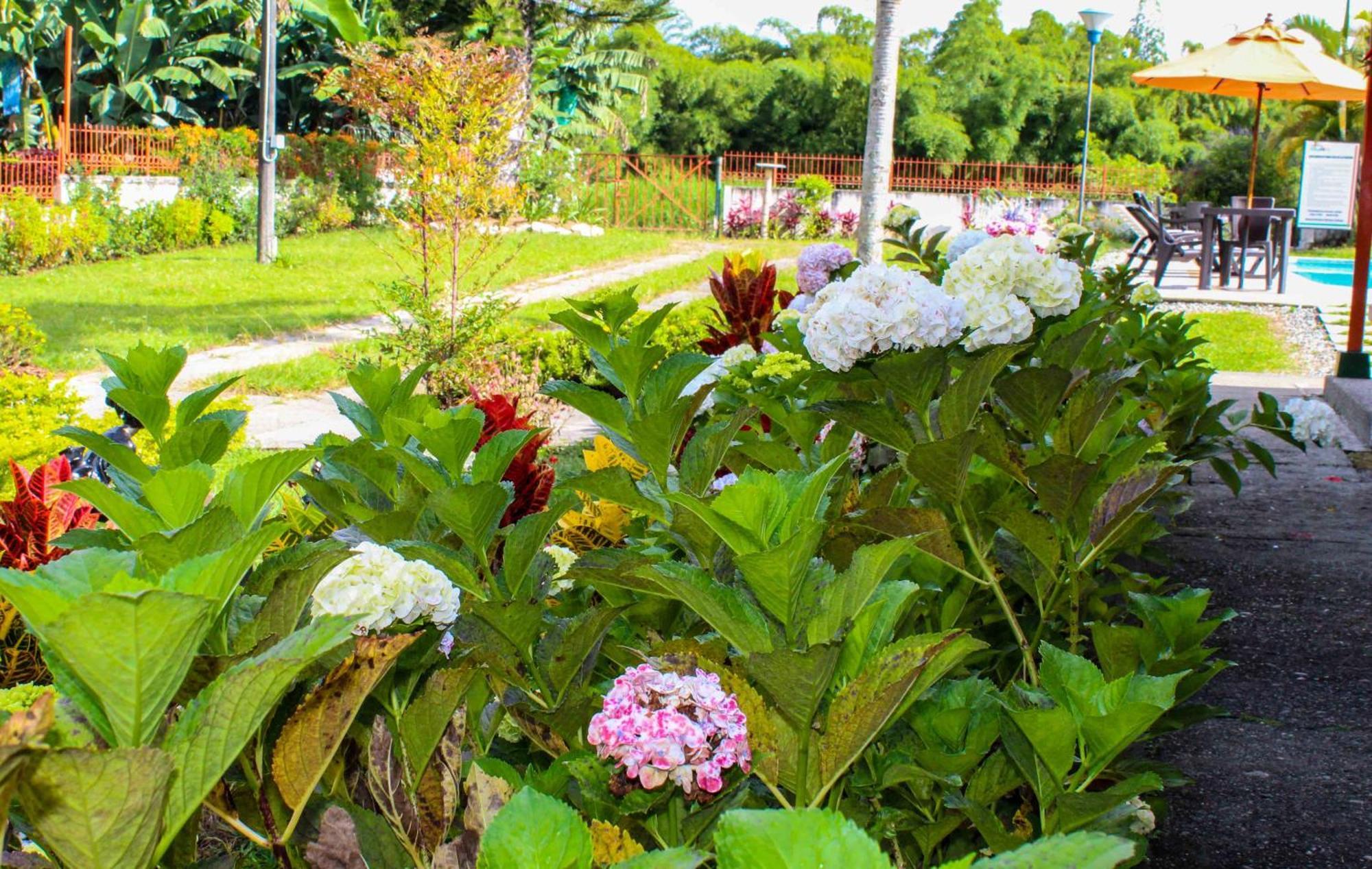 Hotel Campestre La Floresta Puerto Espejo エクステリア 写真